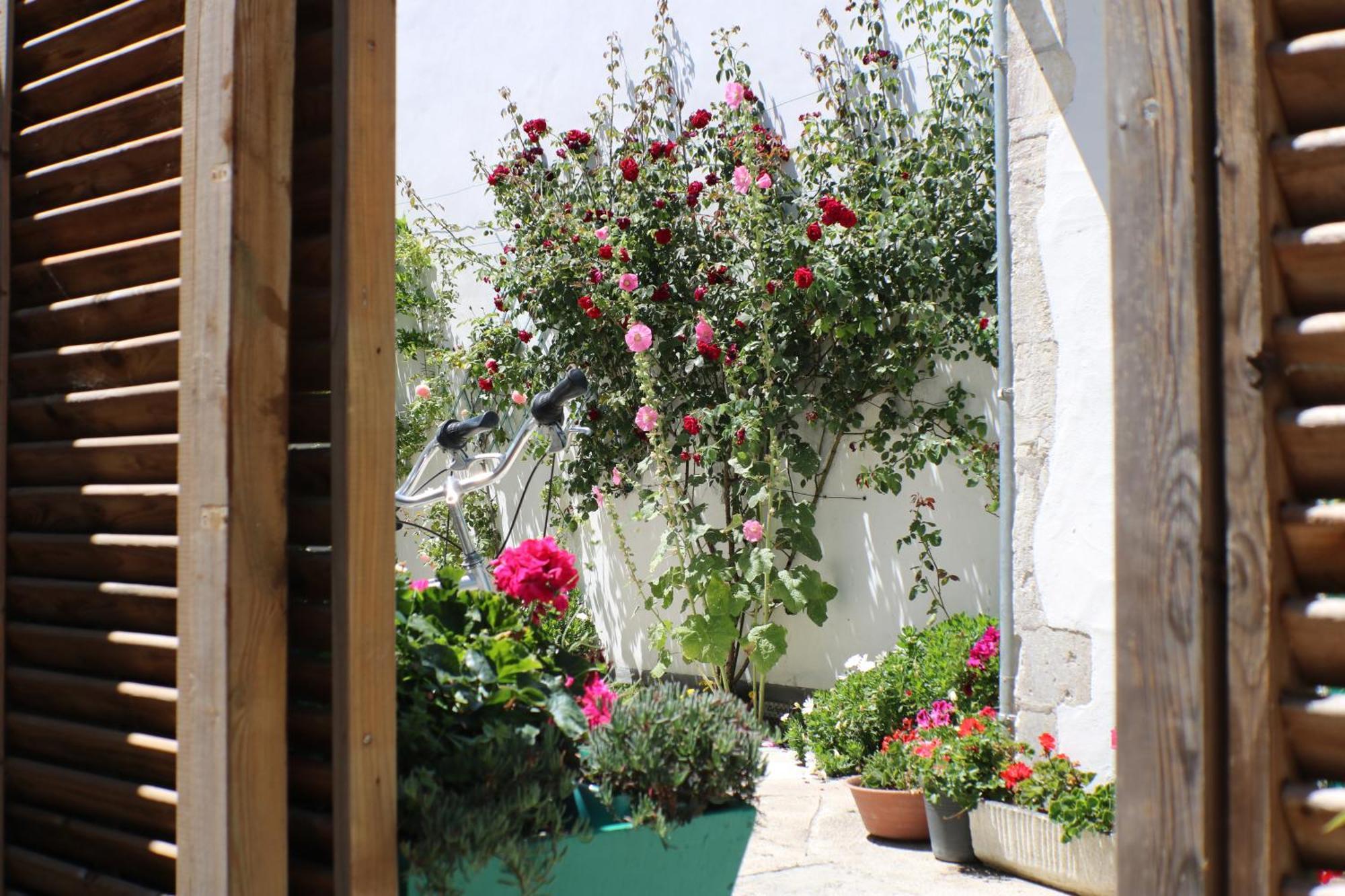 Belle Location Et Grande Terrasse Prives * La Couarde-sur-Mer